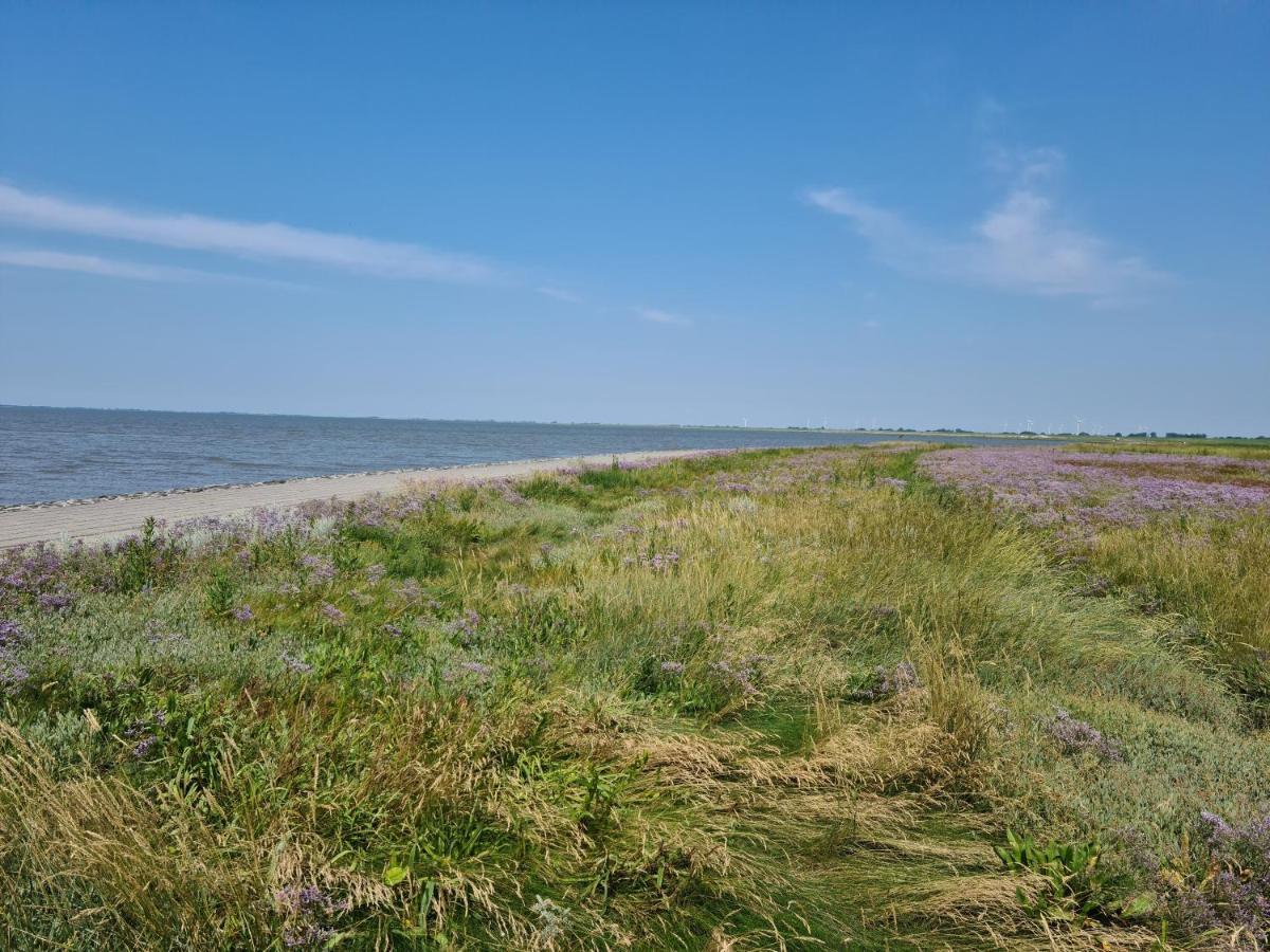 Haus Meererleben - Urlaub Mit Hund An Der Nordsee Schweiburg 外观 照片