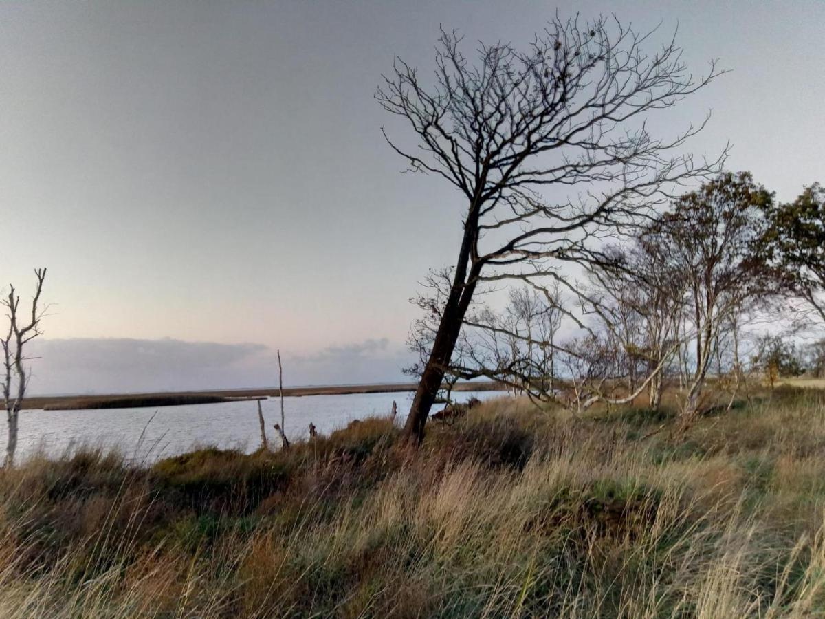 Haus Meererleben - Urlaub Mit Hund An Der Nordsee Schweiburg 外观 照片