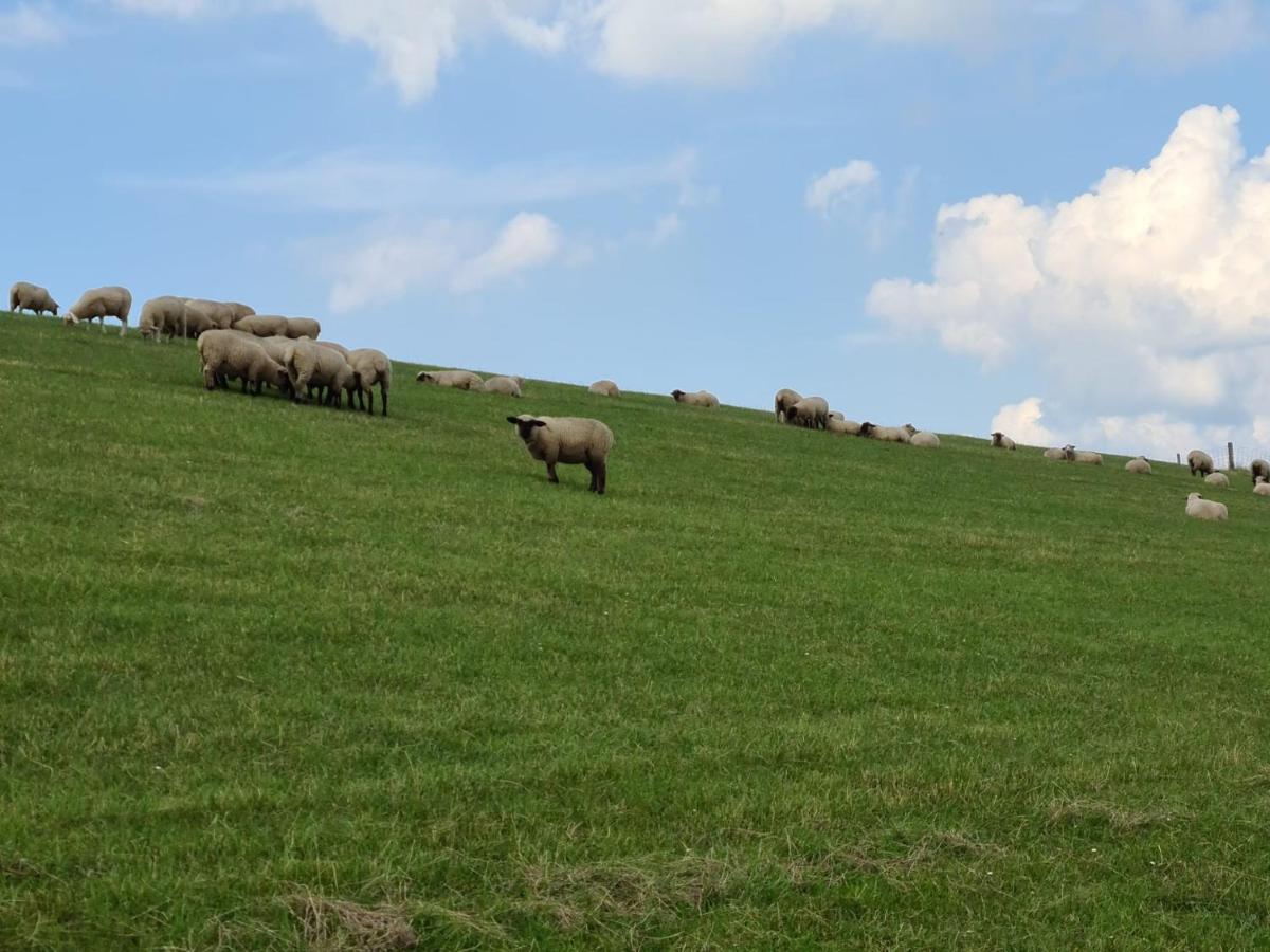 Haus Meererleben - Urlaub Mit Hund An Der Nordsee Schweiburg 外观 照片